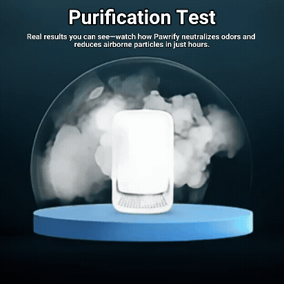 Stop Cat Odor From Clinging to Your Child’s Clothes